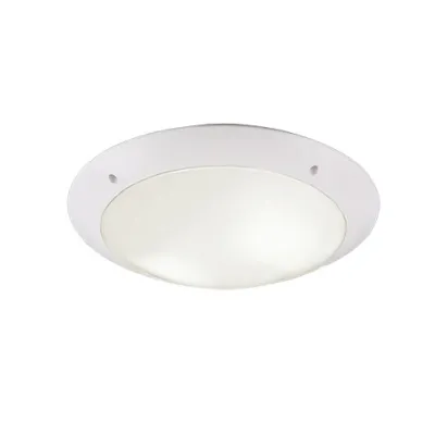 Потолочный светильник Camaro IP54 Reality R60502031