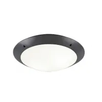 Потолочный светильник Camaro IP54 Reality R60502042 Потолочный светильник Camaro IP54 Reality R60502042