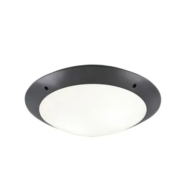 Потолочный светильник Camaro IP54 Reality R60502042 Потолочный светильник Camaro IP54 Reality R60502042