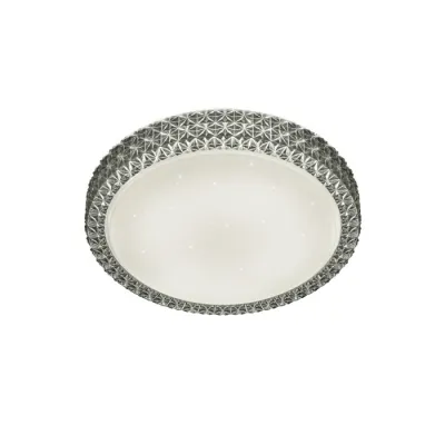 Светильник Reality R62422142 Pegasus