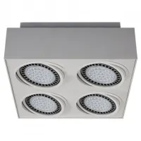 Накладной точечный светильник Zuma Line Boxy 20076-WH