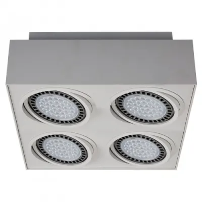 Накладной точечный светильник Zuma Line Boxy 20076-WH Накладной точечный светильник Zuma Line Boxy 20076-WH