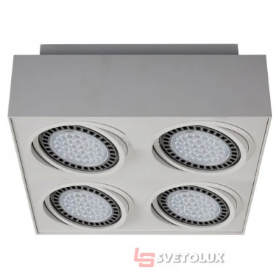 Накладной точечный светильник Zuma Line Boxy 20076-WH