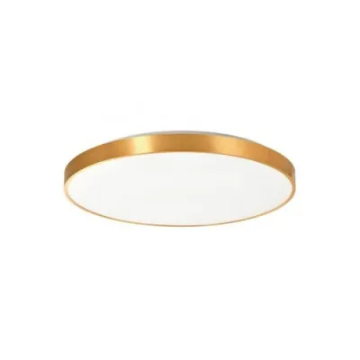 Стельовий світильник Zuma Line SIERRA CL12100010-GD