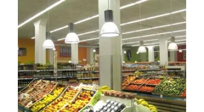 Молодая динамично развивающаяся компания Bellson Молодая динамично развивающаяся компания Bellson